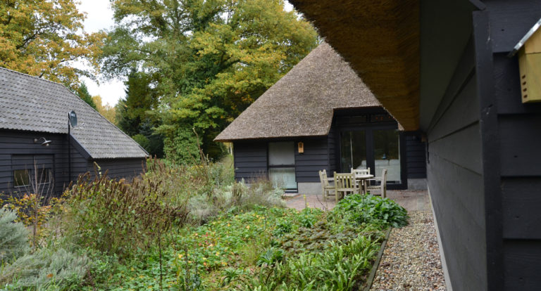 drijvers-oisterwijk-bosvilla-riet-hout-bungalow (16)