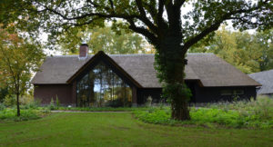drijvers-oisterwijk-bosvilla-riet-hout-bungalow (3)