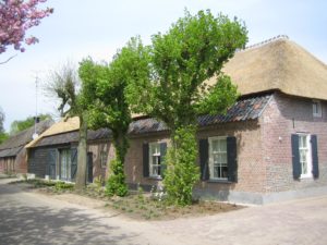 drijvers-oisterwijk-boerderij-dakpannen-wolfseind-raam-schoosteen-4