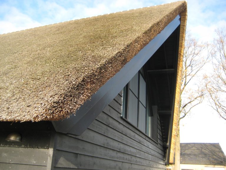 drijvers-oisterwijk-someren-villa-boerderij-modern-architectuur-riet-zink (11)