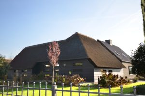 drijvers-oisterwijk-someren-villa-boerderij-modern-architectuur-riet-zink (5)