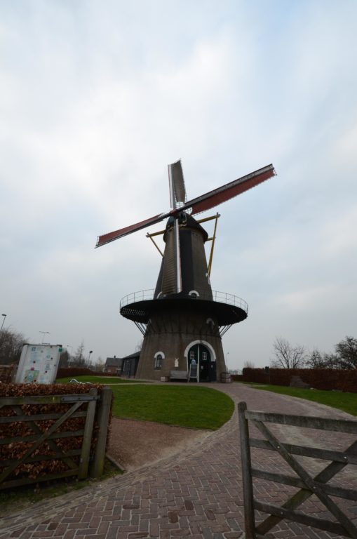 drijvers-oisterwijk-molen-wieken-hout-bakstenen-winkel-exterieur-verbouwing (8)