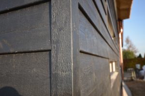 drijvers-oisterwijk-nieuwbouw-exterieur-riet-hout-bakstenen-gevel-grote-pui-ramen-dakkapel-hout-kozijn (6)