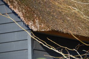 drijvers-oisterwijk-nieuwbouw-exterieur-riet-hout-bakstenen-gevel-grote-pui-ramen-dakkapel-hout-kozijn (8)