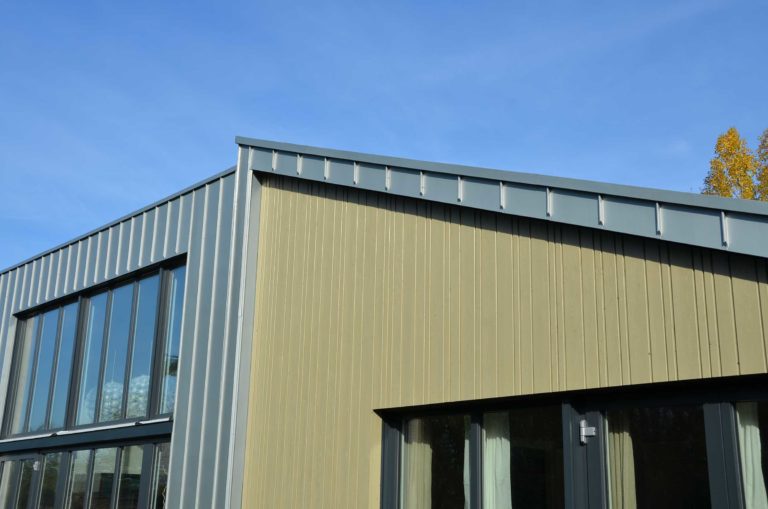 drijvers-oisterwijk-nieuwbouw-exterieur-zink-gevel-dak-strak-modern-bakstenen-deur-raam-pui (10)