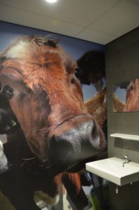 drijvers-oisterwijk-veterinair-centrum-toilet-trespaplaat-koe-modern-interieur-nieuwbouw-natuur-dieren-verlichting-rood-strak (26)-min