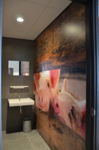 drijvers-oisterwijk-veterinair-centrum-toilet-trespaplaat-biggetjes-modern-interieur-nieuwbouw-natuur-dieren-verlichting-rood-strak (27)-min