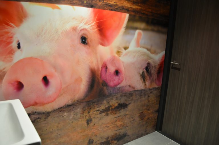 drijvers-oisterwijk-veterinair-centrum-toilet-sanitair-trespaplaat-biggetjes-modern-interieur-nieuwbouw-natuur-dieren-verlichting-rood-strak (32)-min