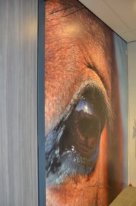 drijvers-oisterwijk-veterinair-trespaplaat-toilet-paard-centrum-modern-interieur-nieuwbouw-natuur-dieren-verlichting-rood-strak (9)