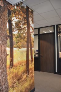 drijvers-oisterwijk-veterinair-centrum-modern-interieur-nieuwbouw-natuur-dieren-verlichting-rood-strak (9)-min