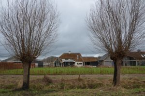 drijvers-oisterwijk-villa-nieuwbouw-exterieur-metselwerk-hout-gevel-riet-kap (43)