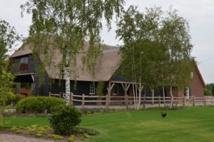 drijvers-oisterwijk-exterieur-nieuwbouw-villa-boerderij-particulier-riet-kap-hout-metselwerk-theehuis-bed-en-breakfast-stal-hout-spant (2)