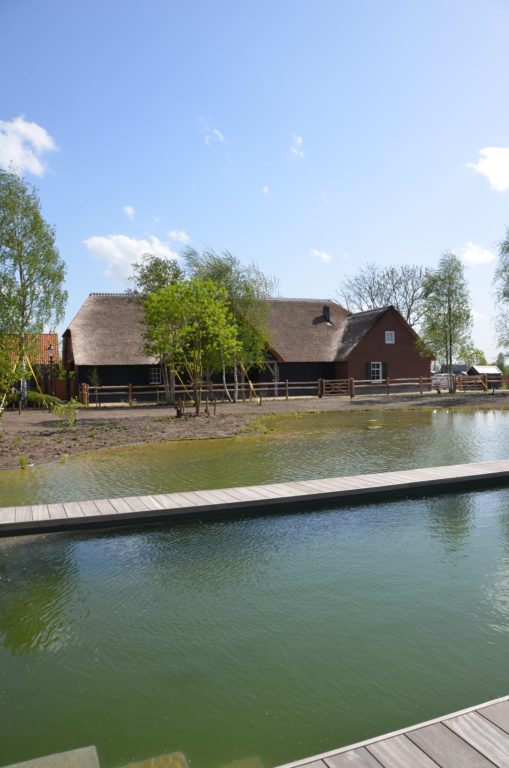 drijvers-oisterwijk-exterieur-nieuwbouw-villa-boerderij-particulier-riet-kap-hout-metselwerk-theehuis-bed-en-breakfast-stal-hout-spant (8)