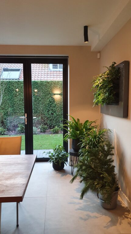 drijvers-oisterwijk-verbouwing-interieur-modern-exterieur-houten-gevel-wit-stucwerk-planten (3)