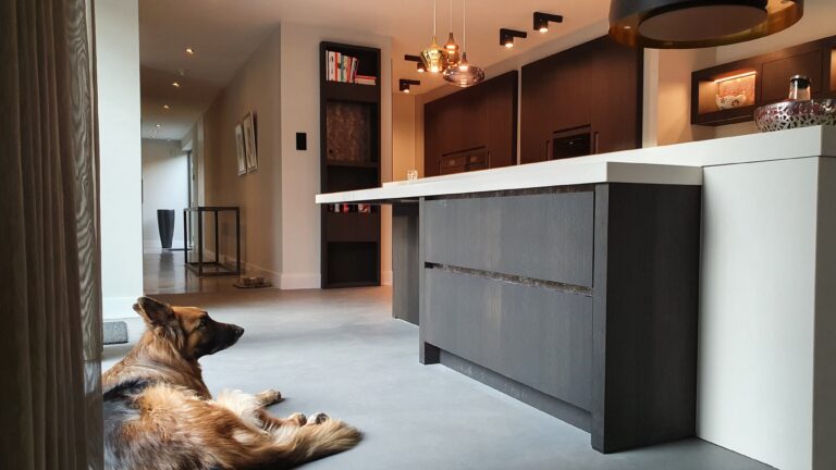 drijvers-oisterwijk-interieur-verbouwing-keuken-armaturen-modern-particulier (4)